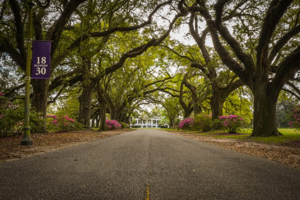 Spring Hill Community Spring Hill College Ranked Among the Top Regional Colleges in the South ...