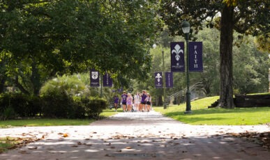 Group of students walking on an oak tree-lined walkway on the campus of Spring Hill College.