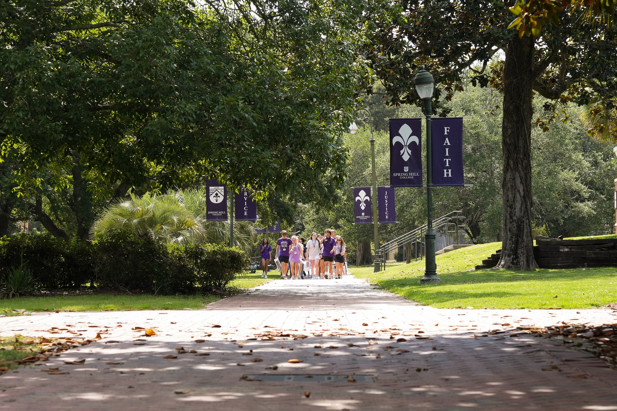 Group of students walking on an oak tree-lined walkway on the campus of Spring Hill College.