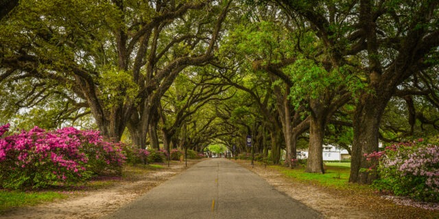 Southern Living Names Spring Hill College Among Most Beautiful Campuses in the South 2025
